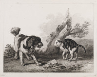 KG 01376
<br/>
Hond en kat
<br/>
<em>Bartsch, Adam von (1757-1821)</em>